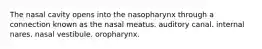 The nasal cavity opens into the nasopharynx through a connection known as the nasal meatus. auditory canal. internal nares. nasal vestibule. oropharynx.