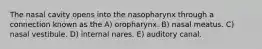 The nasal cavity opens into the nasopharynx through a connection known as the A) oropharynx. B) nasal meatus. C) nasal vestibule. D) internal nares. E) auditory canal.