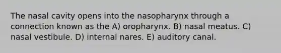 The nasal cavity opens into the nasopharynx through a connection known as the A) oropharynx. B) nasal meatus. C) nasal vestibule. D) internal nares. E) auditory canal.