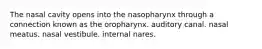 The nasal cavity opens into the nasopharynx through a connection known as the oropharynx. auditory canal. nasal meatus. nasal vestibule. internal nares.