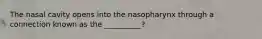 The nasal cavity opens into the nasopharynx through a connection known as the __________?