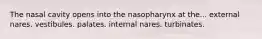 The nasal cavity opens into the nasopharynx at the... external nares. vestibules. palates. internal nares. turbinates.