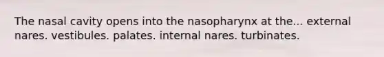 The nasal cavity opens into the nasopharynx at the... external nares. vestibules. palates. internal nares. turbinates.