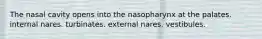 The nasal cavity opens into the nasopharynx at the palates. internal nares. turbinates. external nares. vestibules.