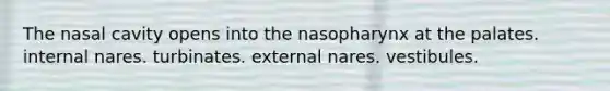 The nasal cavity opens into the nasopharynx at the palates. internal nares. turbinates. external nares. vestibules.