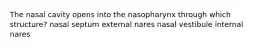 The nasal cavity opens into the nasopharynx through which structure? nasal septum external nares nasal vestibule internal nares