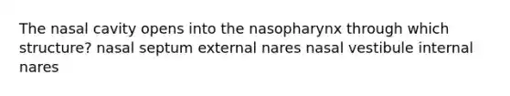 The nasal cavity opens into the nasopharynx through which structure? nasal septum external nares nasal vestibule internal nares