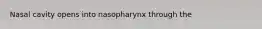 Nasal cavity opens into nasopharynx through the