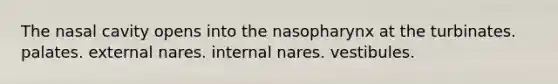 The nasal cavity opens into the nasopharynx at the turbinates. palates. external nares. internal nares. vestibules.