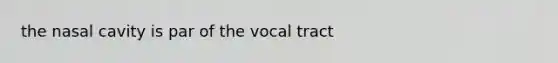 the nasal cavity is par of the vocal tract