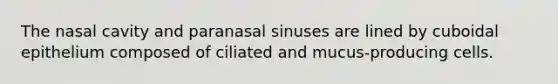 The nasal cavity and paranasal sinuses are lined by cuboidal epithelium composed of ciliated and mucus-producing cells.