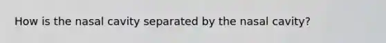 How is the nasal cavity separated by the nasal cavity?