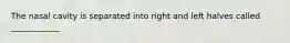 The nasal cavity is separated into right and left halves called ____________