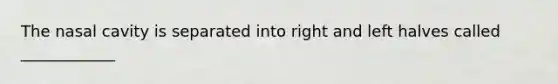 The nasal cavity is separated into right and left halves called ____________