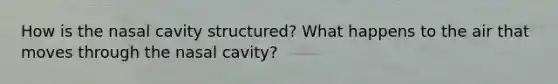 How is the nasal cavity structured? What happens to the air that moves through the nasal cavity?