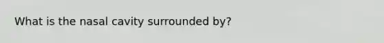What is the nasal cavity surrounded by?