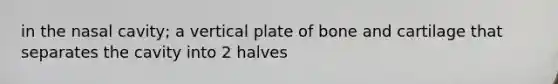 in the nasal cavity; a vertical plate of bone and cartilage that separates the cavity into 2 halves