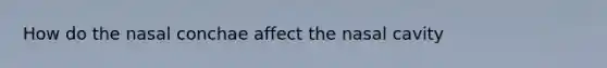 How do the nasal conchae affect the nasal cavity