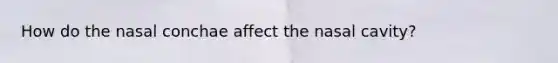 How do the nasal conchae affect the nasal cavity?