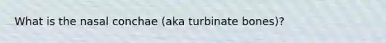 What is the nasal conchae (aka turbinate bones)?