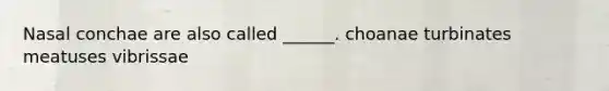 Nasal conchae are also called ______. choanae turbinates meatuses vibrissae