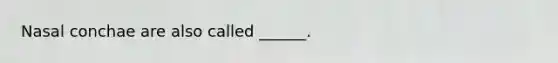 Nasal conchae are also called ______.