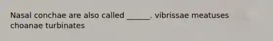Nasal conchae are also called ______. vibrissae meatuses choanae turbinates