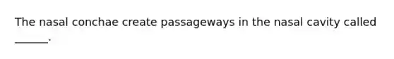 The nasal conchae create passageways in the nasal cavity called ______.