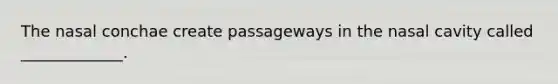 The nasal conchae create passageways in the nasal cavity called _____________.