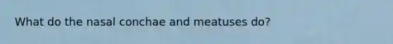 What do the nasal conchae and meatuses do?