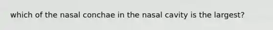 which of the nasal conchae in the nasal cavity is the largest?