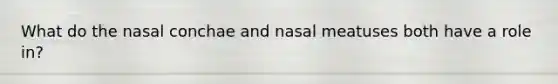 What do the nasal conchae and nasal meatuses both have a role in?