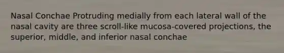 Nasal Conchae Protruding medially from each lateral wall of the nasal cavity are three scroll-like mucosa-covered projections, the superior, middle, and inferior nasal conchae