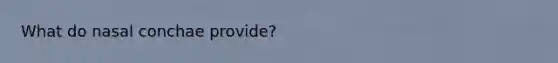 What do nasal conchae provide?