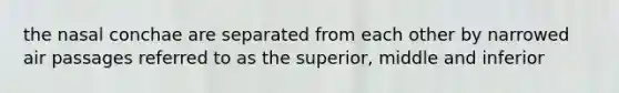 the nasal conchae are separated from each other by narrowed air passages referred to as the superior, middle and inferior