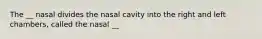 The __ nasal divides the nasal cavity into the right and left chambers, called the nasal __