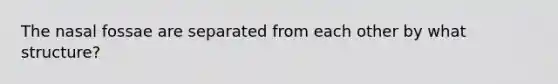 The nasal fossae are separated from each other by what structure?