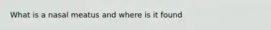 What is a nasal meatus and where is it found