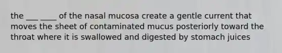 the ___ ____ of the nasal mucosa create a gentle current that moves the sheet of contaminated mucus posteriorly toward the throat where it is swallowed and digested by stomach juices