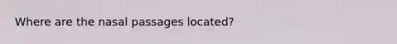 Where are the nasal passages located?