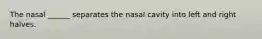 The nasal ______ separates the nasal cavity into left and right halves.