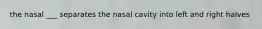 the nasal ___ separates the nasal cavity into left and right halves