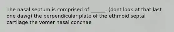 The nasal septum is comprised of ______. (dont look at that last one dawg) the perpendicular plate of the ethmoid septal cartilage the vomer nasal conchae