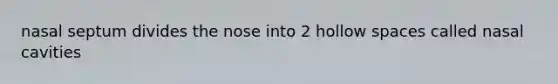 nasal septum divides the nose into 2 hollow spaces called nasal cavities