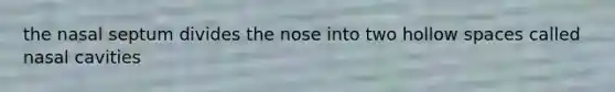 the nasal septum divides the nose into two hollow spaces called nasal cavities