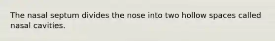 The nasal septum divides the nose into two hollow spaces called nasal cavities.