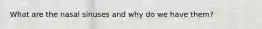 What are the nasal sinuses and why do we have them?