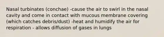 Nasal turbinates (conchae) -cause the air to swirl in the nasal cavity and come in contact with mucous membrane covering (which catches debris/dust) -heat and humidify the air for respiration - allows diffusion of gases in lungs