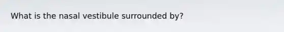 What is the nasal vestibule surrounded by?