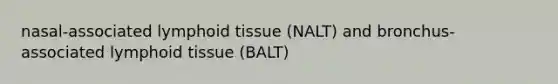 nasal-associated lymphoid tissue (NALT) and bronchus-associated lymphoid tissue (BALT)